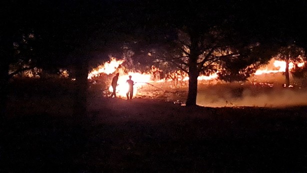 Foto - Tire'de çıkan orman yangını kısa sürede söndürüldü