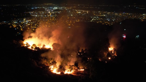 Foto - Tire’de çıkan yangında beş dönümlük zeytinlik alan zarar gördü