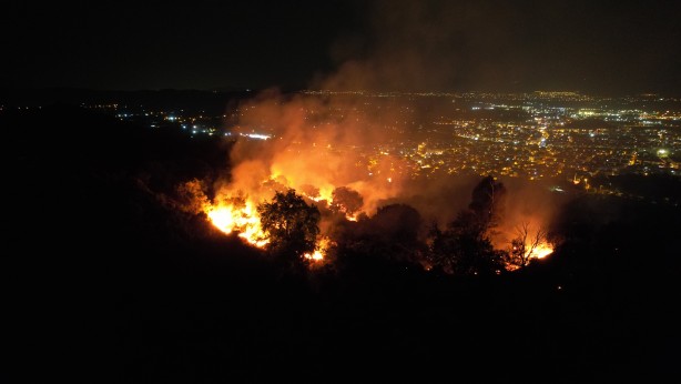 Foto - Tire’de çıkan yangında beş dönümlük zeytinlik alan zarar gördü