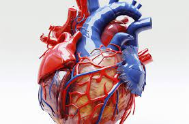 Foto - Tırnaklardaki bu beklenmedik belirti eğer böyle varsa aman dikkat, durum ciddi! Herkes konuşuyor