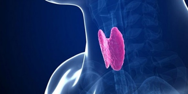 Foto - Tiroid bozukluğunun erken belirtileri