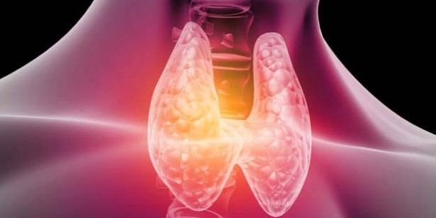 Foto - Tiroid bozukluğunun erken belirtileri
