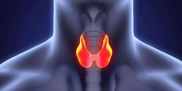 Foto - Tiroid bozukluğunun erken belirtileri
