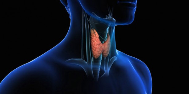 Foto - Tiroid bozukluğunun erken belirtileri