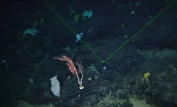 Foto - Titanik gemisinin sırrı çözüldü! Ortaya çıkan gerçek uzmanları hayrete düşürdü