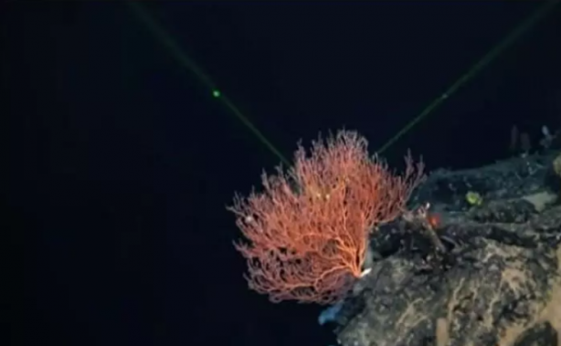 Foto - Titanik gemisinin sırrı çözüldü! Ortaya çıkan gerçek uzmanları hayrete düşürdü