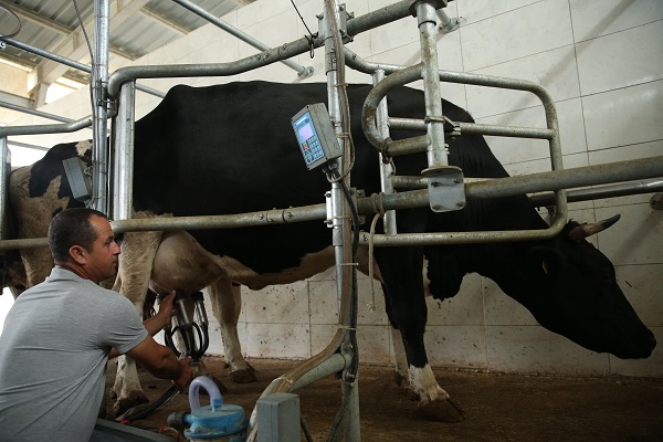 Foto - TKDK desteğiyle kurduğu modern tesiste süt üretiyor