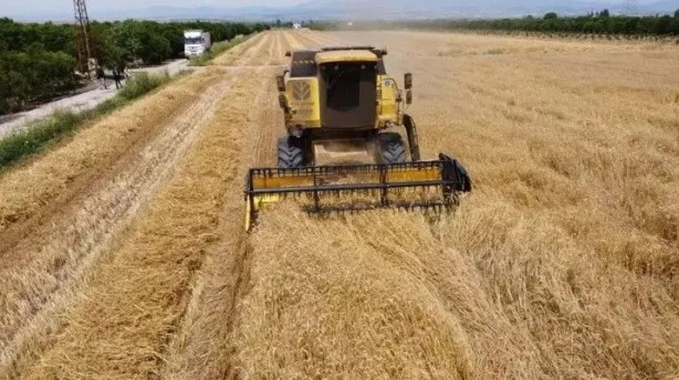 Foto - TMO açıkladı! İşte 2024 satış fiyatları: Üreticiye destekler verilecek!