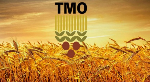 Foto - TMO'dan flaş açıklama! Alım tarihleri belli oldu