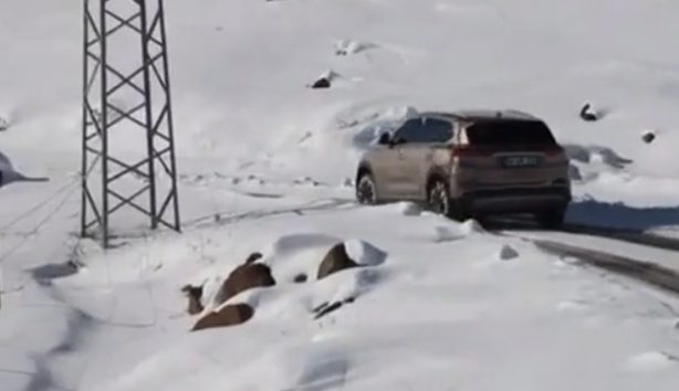 Foto - Togg -20 derecede test edildi! Sonuç 'Bu kadar da olmaz' dedirtti