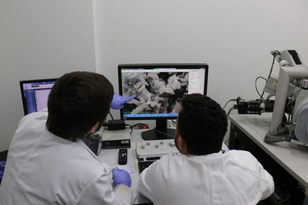 Foto - TOGG'un en kritik parçasına Avrupa ve Uzak Doğu'dan teklif