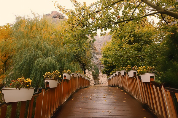 Foto - Tohma Kanyonu’nda güz renkleri