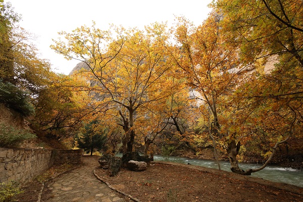Foto - Tohma Kanyonu’nda güz renkleri