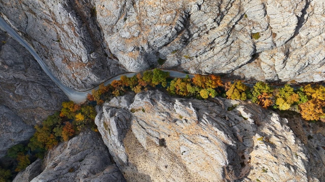 Foto - Tohma Kanyonu'nda sonbahar renkleri hakim oldu