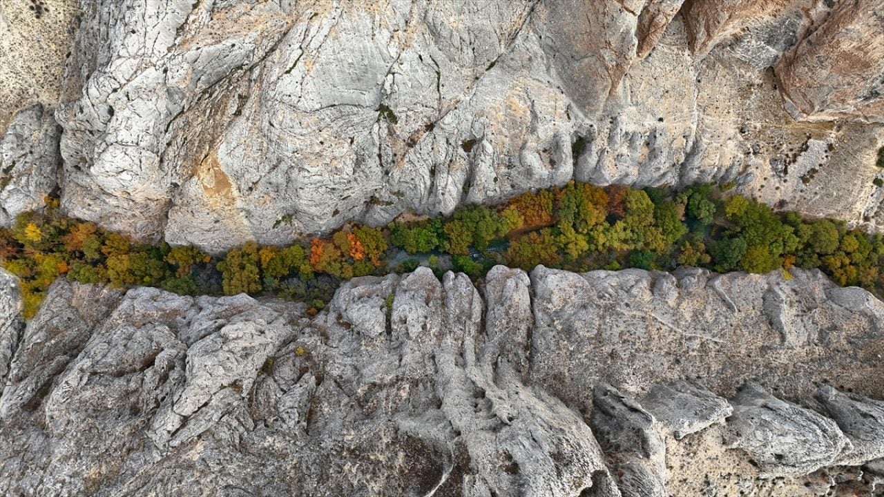 Foto - Tohma Kanyonu'nda sonbahar renkleri hakim oldu