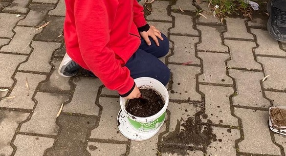 Tohum bombaları toprakla buluştu