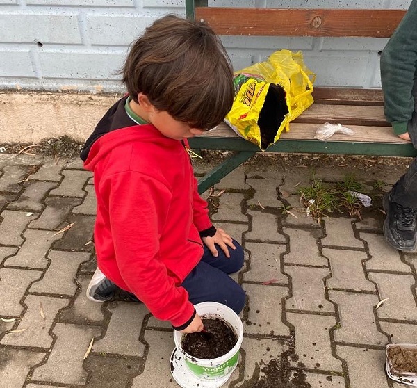 Foto - Tohum bombaları toprakla buluştu