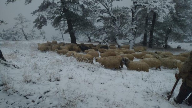 Foto - Tokat beyaza büründü