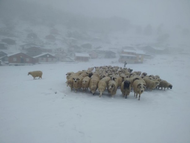 Foto - Tokat beyaza büründü