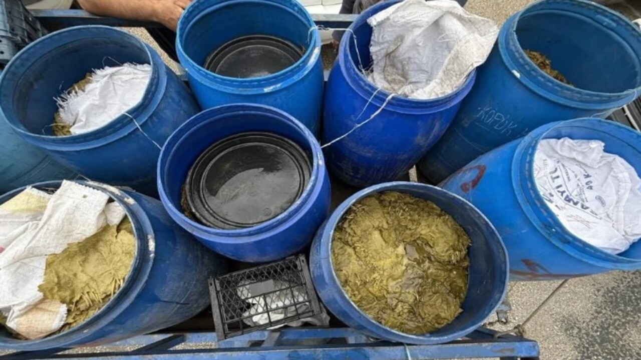 Foto - Tokat yaprağının fiyatı açıklandı