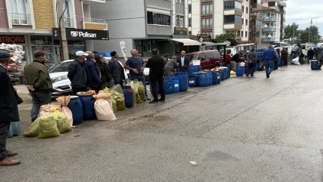 Foto - Tokat yaprağının fiyatı açıklandı