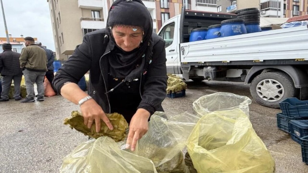 Foto - Tokat yaprağının fiyatı açıklandı