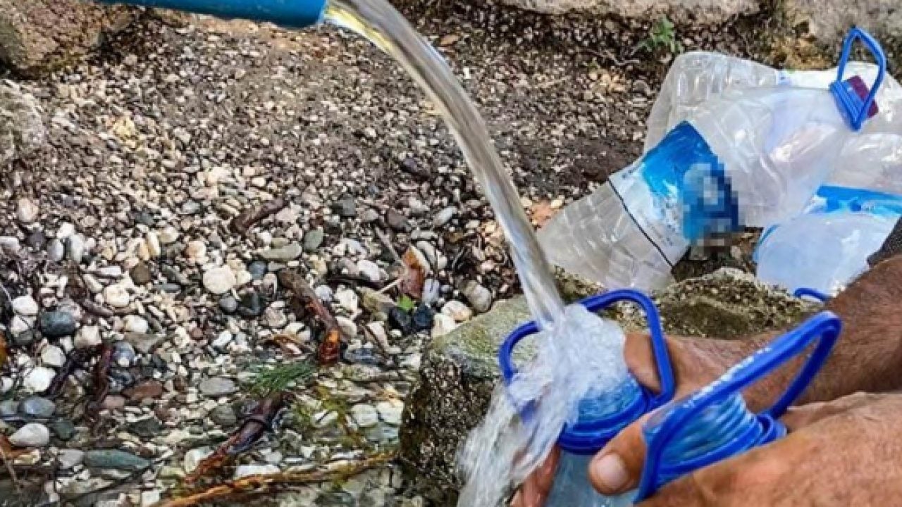 Foto - Tokat'ta 3 bin kişi hastanelik olmuştu: Salgının nedeni ortaya çıktı!