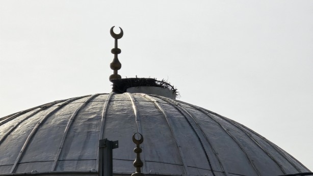 Foto - Tokat'ta 70 yaşındaki dede, cami kubbesine tırmandı! Sebebini duyan 'yok artık' dedi! Sen ne yaptın böyle Yücel dede