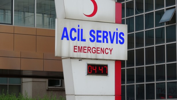 Foto - Tokat'ta ayı küçük çocuğa saldırdı!