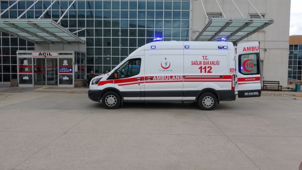 Foto - Tokat'ta ayı küçük çocuğa saldırdı!