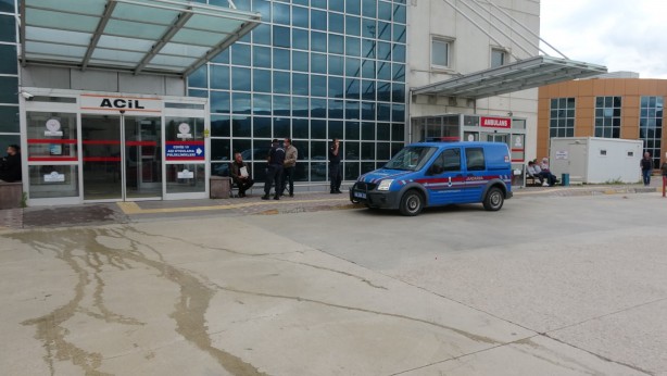 Tokat'ta ayı küçük çocuğa saldırdı!