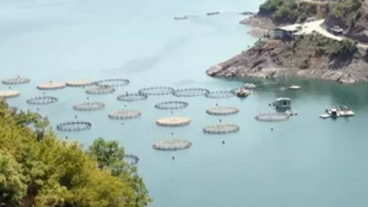 Foto - Tokat'ta yetiştiriliyor: Şimdi 29 ülkeye ihraç ediliyor!