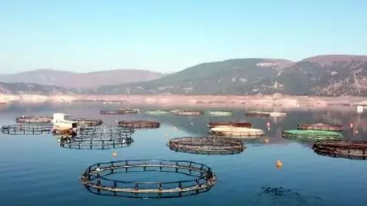 Foto - Tokat'ta yetiştiriliyor: Şimdi 29 ülkeye ihraç ediliyor!