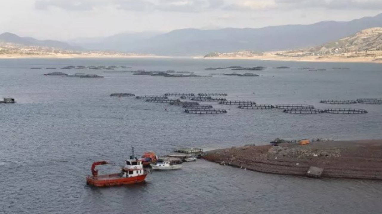 Tokat'ta yetiştiriliyor: Şimdi 29 ülkeye ihraç ediliyor!