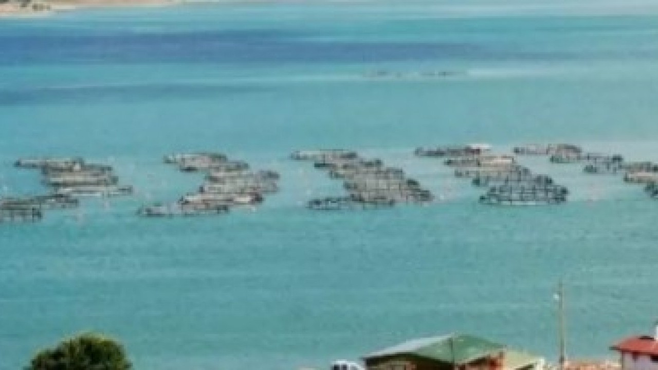 Foto - Tokat'ta yetiştiriliyor: Şimdi 29 ülkeye ihraç ediliyor!