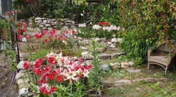 Foto - Bu kadarını o da beklemiyordu! Tokat'tan getirdi, şimdi paraya para demiyor!