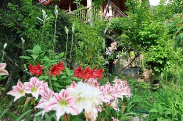 Foto - Bu kadarını o da beklemiyordu! Tokat'tan getirdi, şimdi paraya para demiyor!