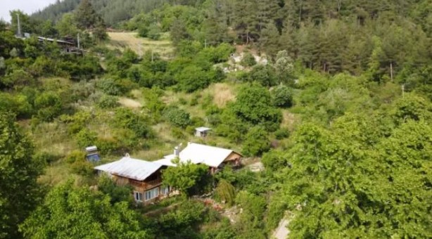 Foto - Bu kadarını o da beklemiyordu! Tokat'tan getirdi, şimdi paraya para demiyor!