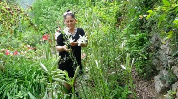 Foto - Bu kadarını o da beklemiyordu! Tokat'tan getirdi, şimdi paraya para demiyor!