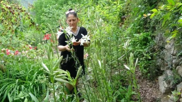 Foto - Bu kadarını o da beklemiyordu! Tokat'tan getirdi, şimdi paraya para demiyor!
