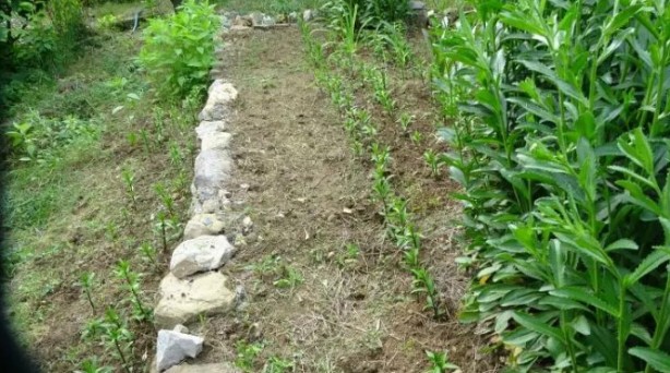 Foto - Bu kadarını o da beklemiyordu! Tokat'tan getirdi, şimdi paraya para demiyor!