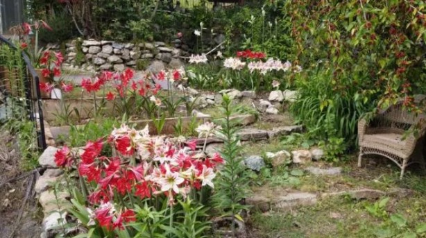 Foto - Bu kadarını o da beklemiyordu! Tokat'tan getirdi, şimdi paraya para demiyor!