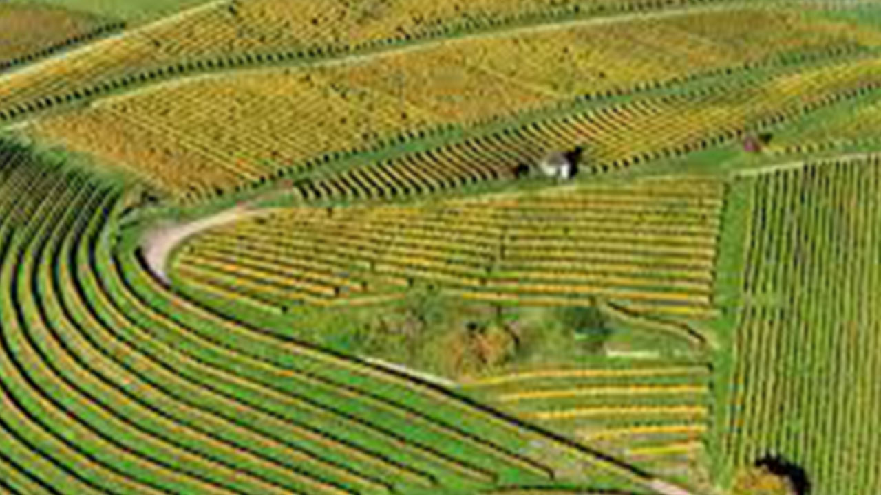 Foto - TOKİ 41 ilde arsa satışına başlıyor! Tüm detaylar belli oldu: 48 ay taksitle satılacak