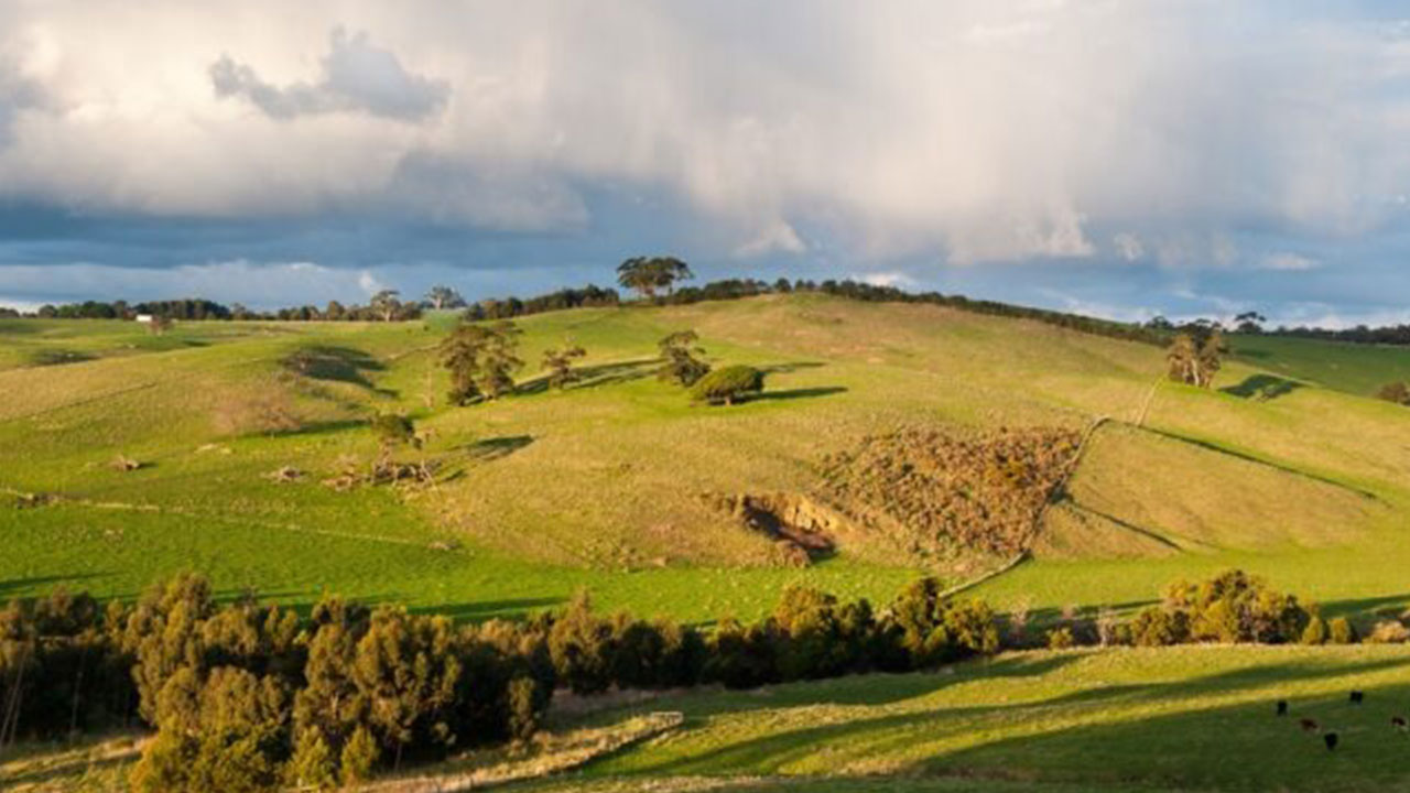 Foto - TOKİ 41 ilde arsa satışına başlıyor! Tüm detaylar belli oldu: 48 ay taksitle satılacak