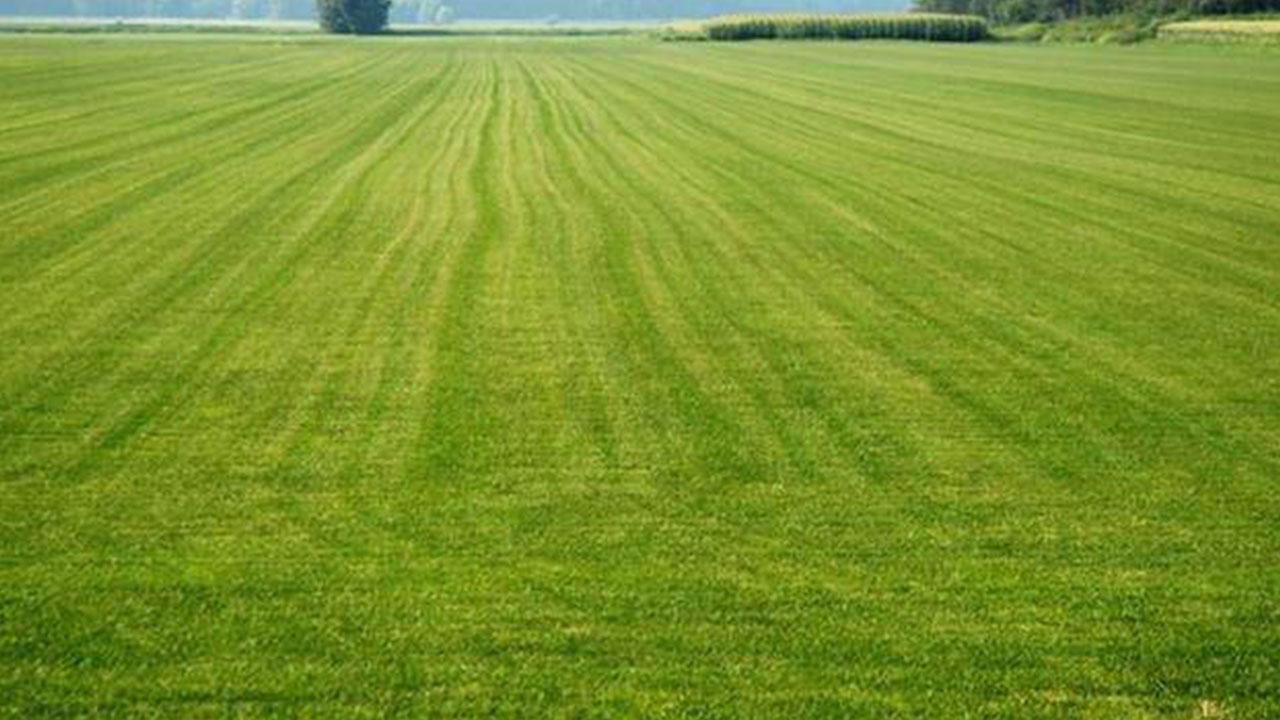 Foto - TOKİ 41 ilde arsa satışına başlıyor! Tüm detaylar belli oldu: 48 ay taksitle satılacak