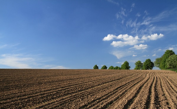 Foto - TOKİ arsa başvuruları ne zamana kadar yapılabilecek? TOKİ arsa başvuru şartları nelerdir? 