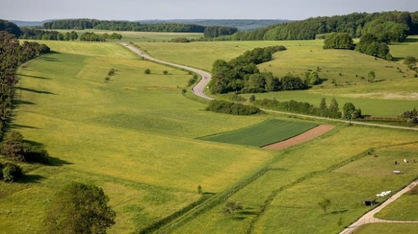 Foto - TOKİ arsa başvuruları ne zamana kadar yapılabilecek? TOKİ arsa başvuru şartları nelerdir? 