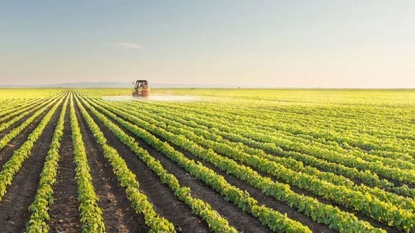 Foto - TOKİ arsa başvuruları ne zamana kadar yapılabilecek? TOKİ arsa başvuru şartları nelerdir? 