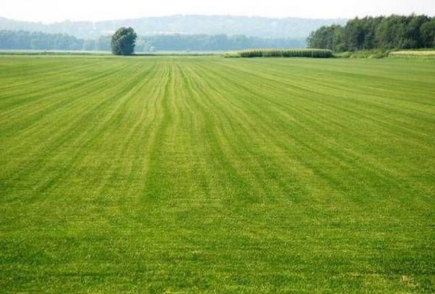 Foto - TOKİ arsa başvuruları ne zamana kadar yapılabilecek? TOKİ arsa başvuru şartları nelerdir? 