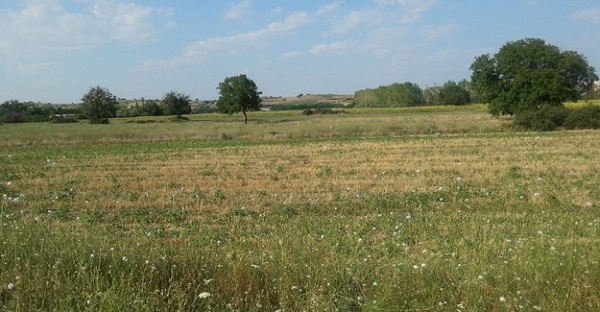 Foto - TOKİ arsa başvuruları ne zamana kadar yapılabilecek? TOKİ arsa başvuru şartları nelerdir? 